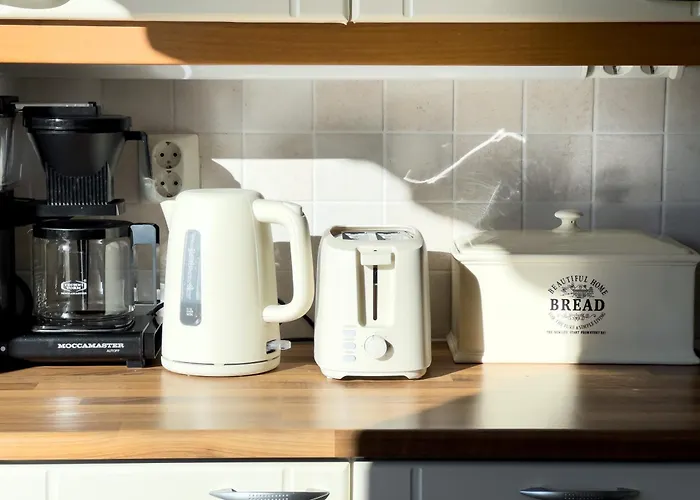 Lägenhet Cozy 2br Right In The Center Kuopio